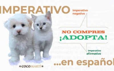 Uso del imperativo en español